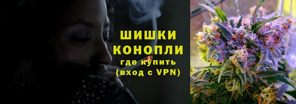 стафф Белокуриха