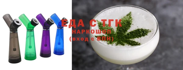 индика Нягань