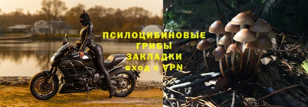 стафф Белокуриха