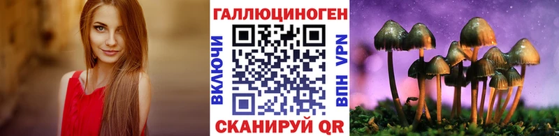 кракен рабочий сайт Невель это какой сайт Псилоцибиновые грибы Cubensis